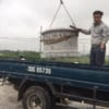 Tảng Kê Cột