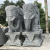 Con Vật Đá